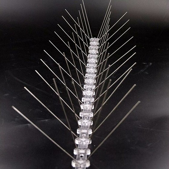 ��� (10) ������ ����� ������
