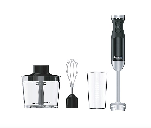 ����� ������ �� 600W ���� BENATON BT-5044