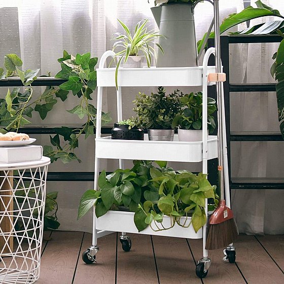 ���� ����� ����� ����� 3 ���� Garden Top - ��� ���