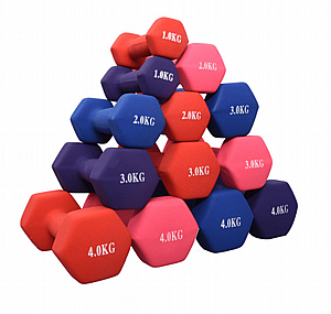 ������ �� ����� ������� 2 �"� EUROLEAP 54186102