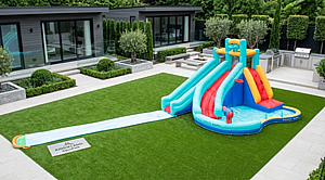 ���� ����� �� ����� ����� ��� A83071 ���� Doctor Dolphin