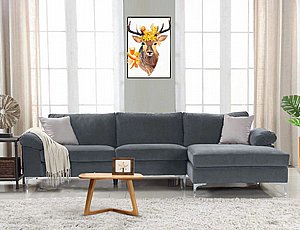 ��� ������ ��� ����� ���� ���� ����� ��� ���� - ��� ����