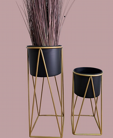 ��� �������� ���� ����� ���� ����