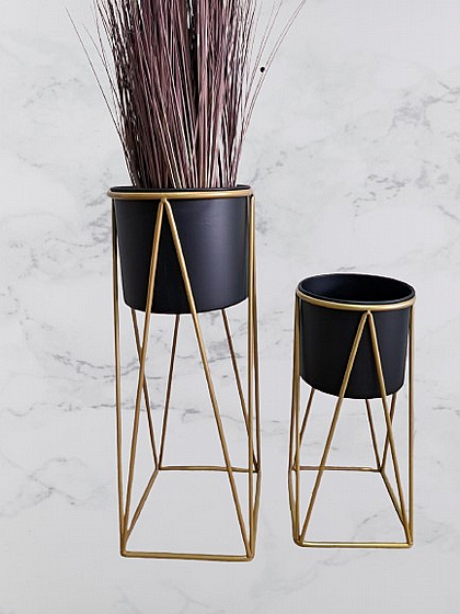 ��� �������� ���� ����� ���� ����