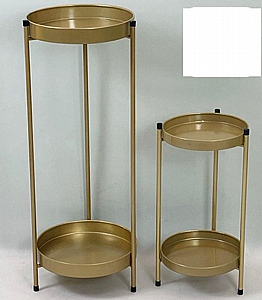 ��� �������� ���� ����� ���