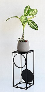 ������� ���� ��� �� �� ����� ���� ���� ���� ��� STAR SHOP